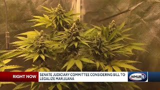 Senate committee debates bill to legalize marijuana in NH