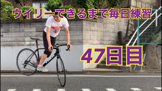 ウイリーできるまで毎日練習47日目【リバース編】