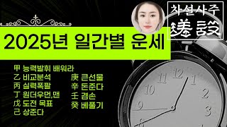 25년 을사년 운세 乙巳年 일간별 (甲乙丙丁戊己庚辛壬癸)