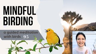 Mindful Birding - A Meditation with Birds  - BLENDING IN WITH NATURE - #NINETY FIVE  ( #birdsit )