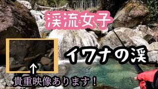 【渓流餌釣り】イワナの渓　渓流女子　貴重映像！天然○○○の稚魚