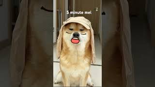 Wet 4funny.😂😂 #####youtube #funny #video #trending #short video