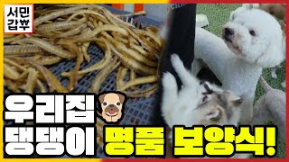 [선공개] 버려지는 부산물로 5억 원 부가수익 창출?! 버릴게 하나 없는 장어! | 서민갑부 396 회