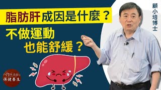 顧小培博士：脂肪肝成因是什麼？不做運動也能舒緩？《小培解百病》（2021-10-19）