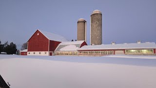 Snow storm on the farm