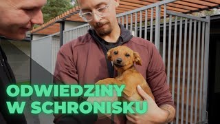 Odwiedziny i pomoc schronisku w Chełmku | Jak do tego doszło?