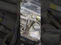 Fan belt noise     #cars #mechanic #service #carshorts #fanbelt