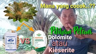 Ketika tanaman sawit kuning (Mg) pupuk yang harus kita pakai dolomite atau kiesrite