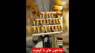 آموزش زنبورداری: صحرای خوب،نژاد مناسب،پرستار قوی و تغذیه مناسب،لازمه تولید این شاخون هاست