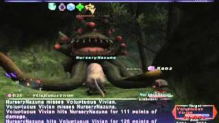 FFXI NM Saga #221: Voluptuous Vivian vs BST solo [Full Battle]