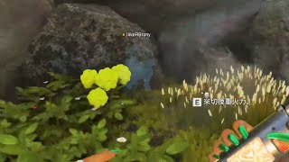 Apex 瓦爾基里也能卡Bug