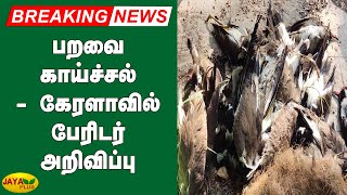 பறவை காய்ச்சல் - கேரளாவில் பேரிடர் அறிவிப்பு | Kerala | Bird Flu | Disaster Alert in Kerala