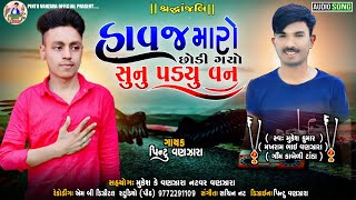 હાવજ મારો છોડી ગયો સુનું પડયું વન New Gujarat Srddhnjali Song 2021 Pintu Vanzara