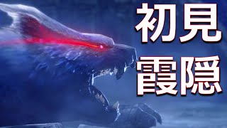 【初見】ナルガクルガ希少種、ゴッド神ゴッドモンスター　チャージアックス ソロ【MHR:S実況/モンハンサンブレイク】