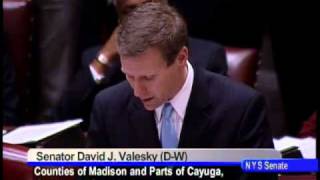 NYS Senate - Senator Valesky - OTB Vote - December 7, 2010