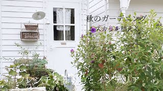 へこむ出来事/ガーデニング/秋の球根を植える/ムスカリ/カーテンを変える/フレンチな暮らしとインテリア/家具の旅立ち/