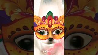 dogs and cats with masks #cuteanimals #funnyvideo