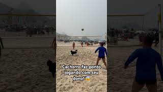 Cachorro viraliza jogando no Rio de Janeiro! #foryou #futebol cachorros #viralvideo