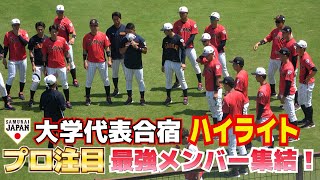 【 侍ジャパン大学代表 合宿１日目  ハイライト】プロ注目の26人侍ついに集結！日米決戦敵地Ｖへ!最強メンバーで本日始動！【侍JAPAN 日米大学野球直前合宿】2023.6.29