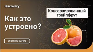 Консервированный грейпфрут | Как это сделано? | Discovery Channel