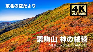 [ドローン空撮] 栗駒山 〜東北一の紅葉と神の絨毯〜 DJI Mavic2 Pro [東北の空だより 紅葉シリーズ 4K 60fps 高画質]