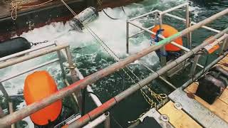 Yamaha 60 Bollard Pull Test ScaffFloat