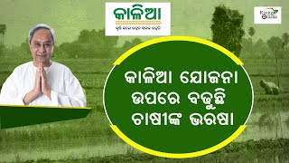 More Than 59 Lakh Odisha Famers Availed Financial Assistance Under Kalia Yojana | Odisha Govt Scheme