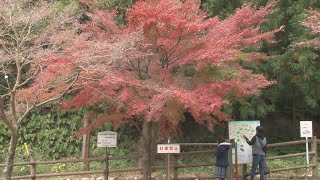 水沢もみじ谷の紅葉