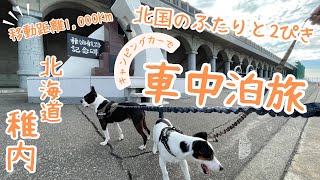 愛犬とキャンピングカーで日本最北端稚内を目指して旅してきました✌︎