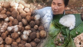 ចូលព្រៃដើររកផ្សិតប៉ក់ finding mushroom in my countyside