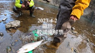 2023-4-2 箒川　一般渓流解禁