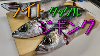 ライトジギングでサバを釣りまくる【相模湾沖】