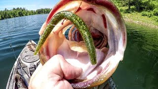 Big Bass CAN'T RESIST The Wacky Worm!