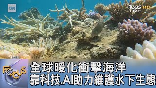 全球暖化衝擊海洋 靠科技.AI助力維護水下生態｜FOCUS午間新聞 20240920@tvbsfocus