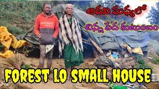 ! అడవి మధ్యలో ఒక పేద కుటుంబం ! adavi  majalo Chinna kutumbam!#araku local boi dileep vlogs!