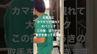 【恐怖】お風呂場でカマキリと格闘　#shorts