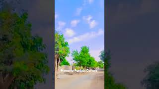 Hamarra Punjabi Culture 🇵🇰