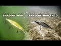 When to Fish the Rapala Shadow Rap vs. Shadow Rap Shad