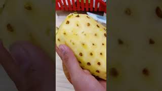 ផ្លែម្នាស់ជូរអែម🍍