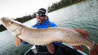 Cree Lake Pike are INSANE!