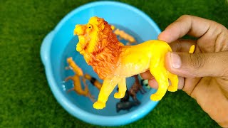 Learn Animals And Toys In Water | Zoo Animal Toys Getting Washed | Zaibies Toys