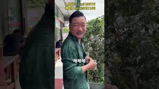 谁能想到阿，捡漏捡了个满黄翡翠手镯！ 焦糖满黄黄翡手镯，给人的感觉温暖又温柔，实属难得 #玉 #翡翠原石 #熱門 #珠寶 #翡翠手鐲 #翡翠 #好物推荐 #緬甸翡翠