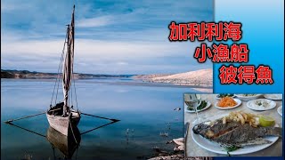 2023年2月12日鳳山浸信會主日證道-新陳佳果陳彥云牧師-耶穌說：你來吧！