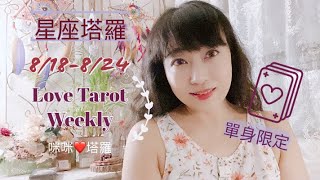 十二星座每週愛情占卜8/18-8/24單身限定⭐️咪咪❤️塔羅 Love Tarot Weekly