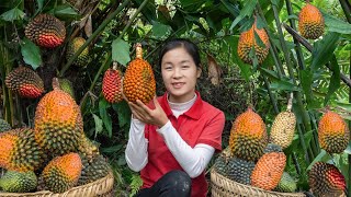 Harvest SEA PINEAPPLE goes to the market sell - Cooking - Gardening | Ella Daily Life