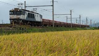 【すれ違いマニア向け】特急と貨物列車(赤ホキ)のすれ違い