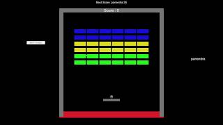 data persistence project