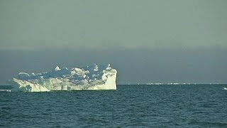 Arctique : Shell peut désormais forer au large de l'Alaska au grand dam de Greenpeace
