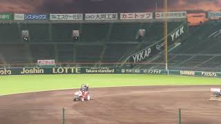 甲子園球場　園芸　グラウンド整備