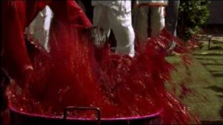 Cracking the Colour Code: 3 Part Documentary - Trailer